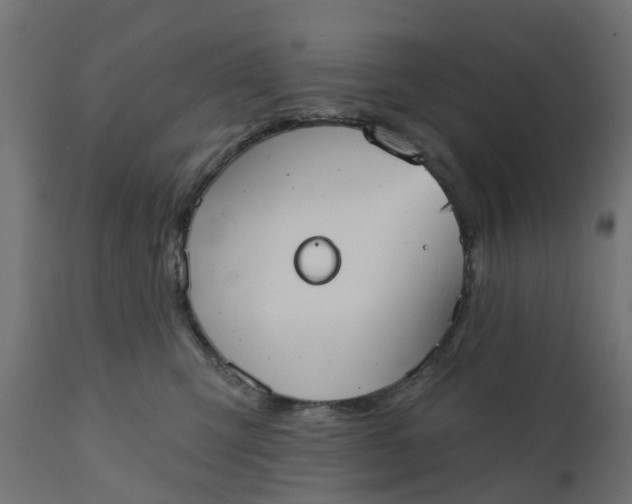 X0000111520423200907281343