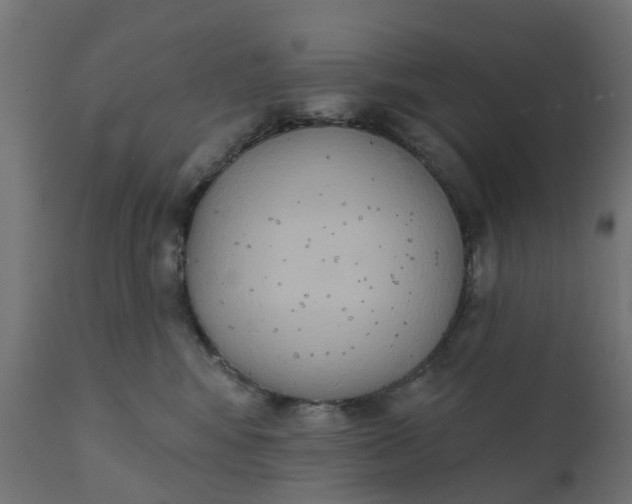 X0000111520424200907281343