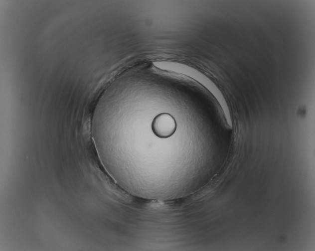 X0000111520425200907281343