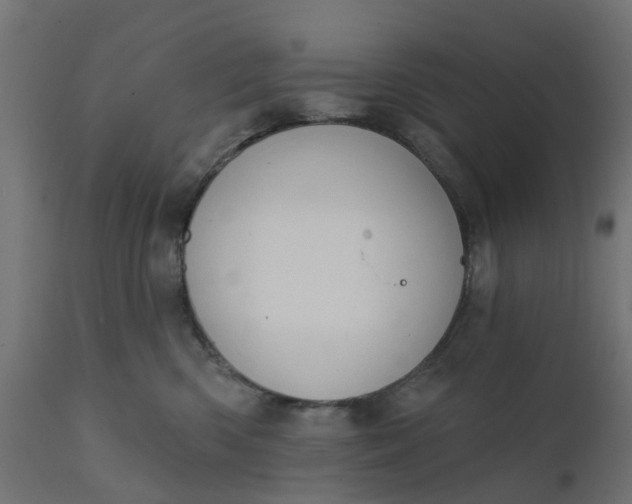X0000111520426200907281343