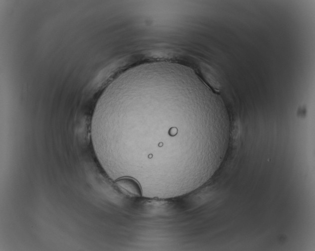 X0000111520428200907281343