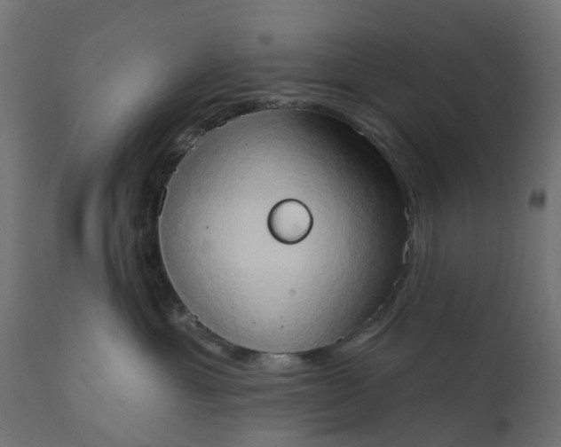 X0000111520429200907281343