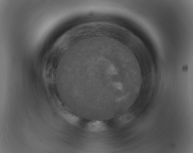 X0000111520431200907281343