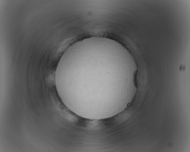X0000111520432200907281343