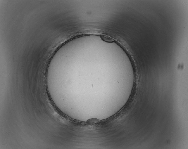 X0000111520433200907281342