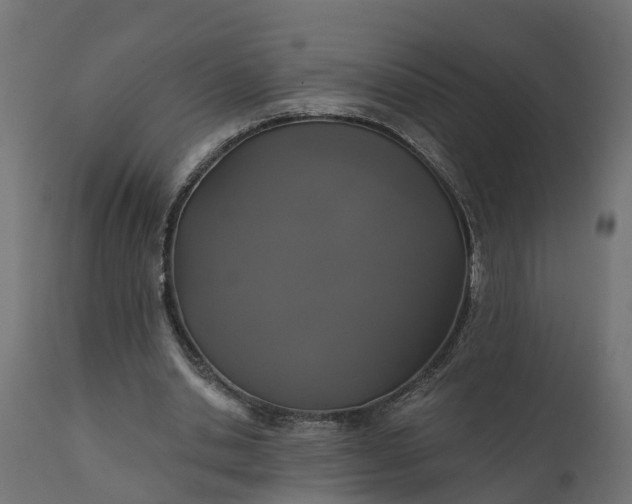 X0000111520438200907281342