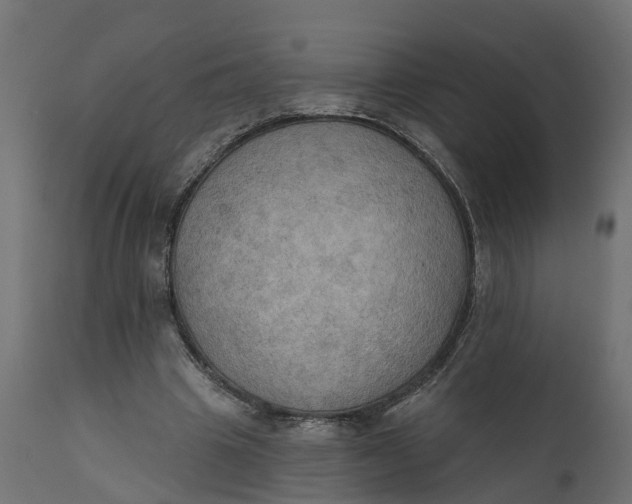 X0000111520441200907281342