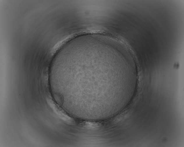 X0000111520442200907281342