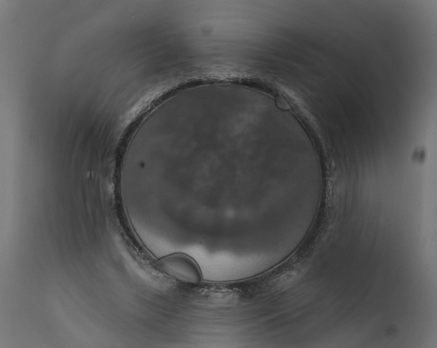 X0000111520443200907281342