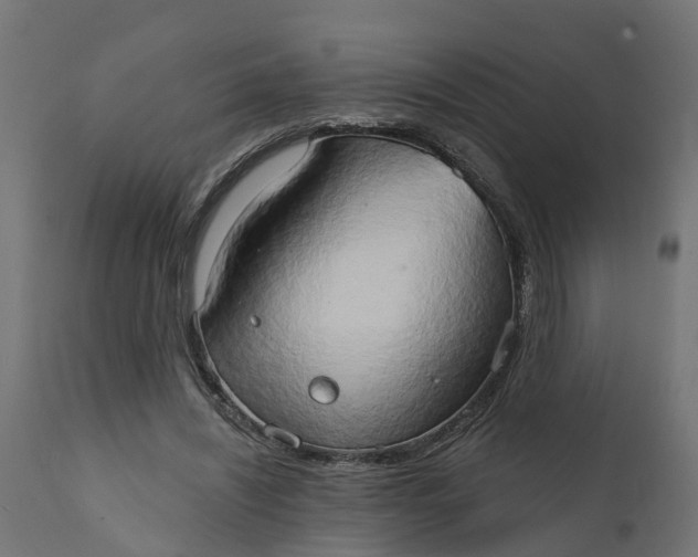 X0000111520444200907281342