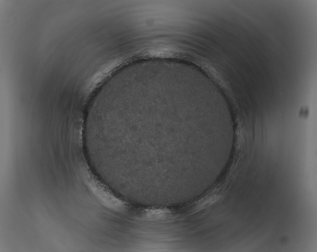 X0000111520446200907281342