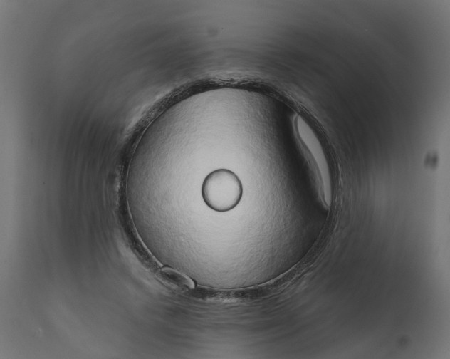 X0000111520448200907281342