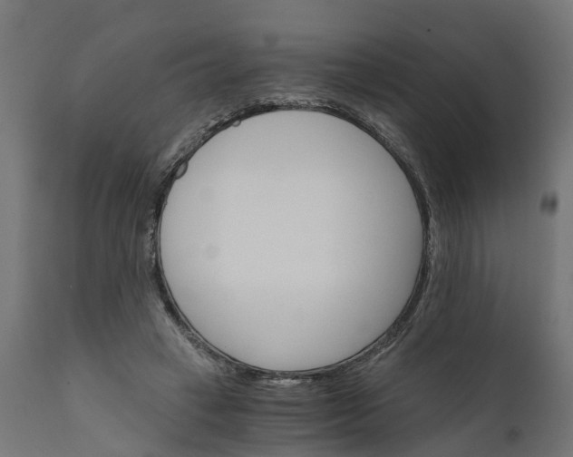 X0000111520449200907281342