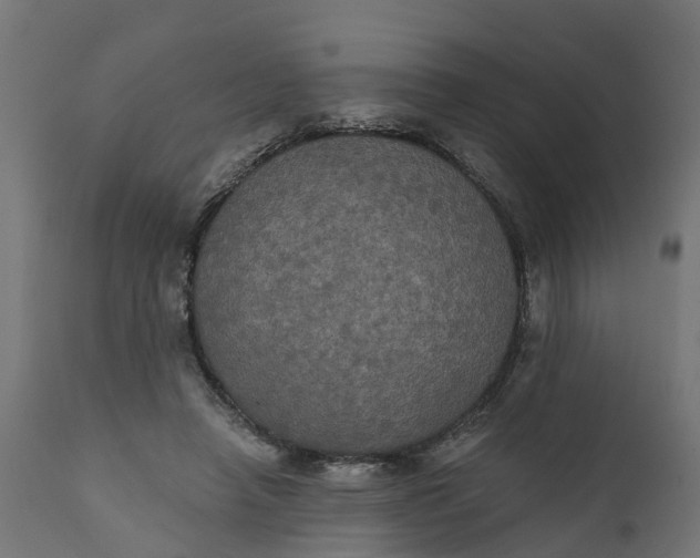 X0000111520450200907281342