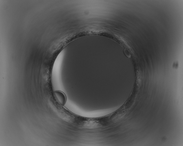 X0000111520451200907281342