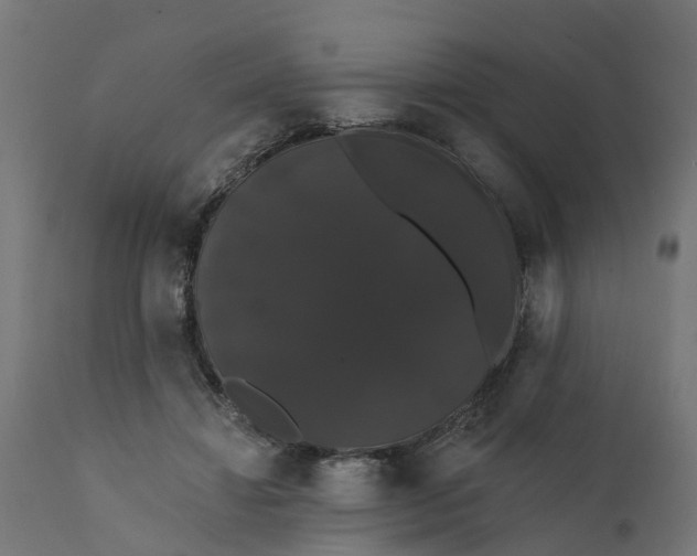 X0000111520452200907281342