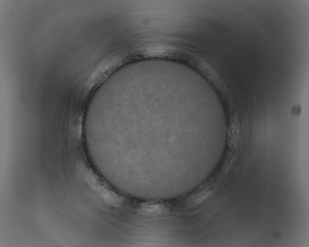 X0000111520454200907281342