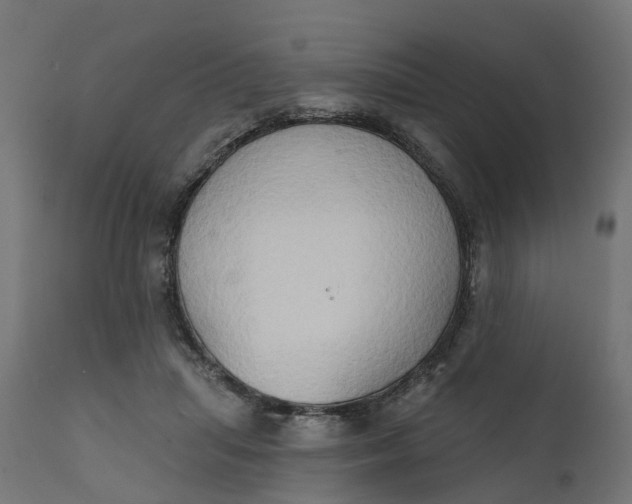 X0000111520455200907281342