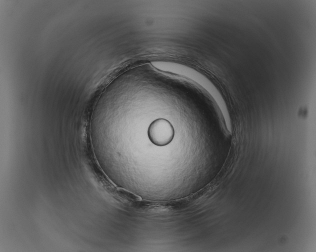 X0000111520456200907281342