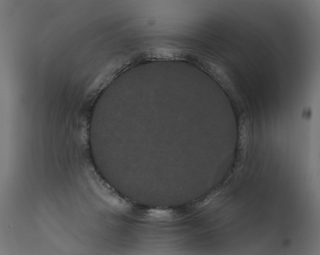 X0000111520457200907281342