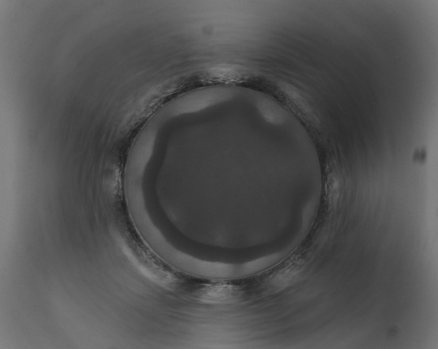 X0000111520459200907281343
