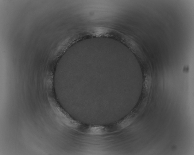 X0000111520461200907281343