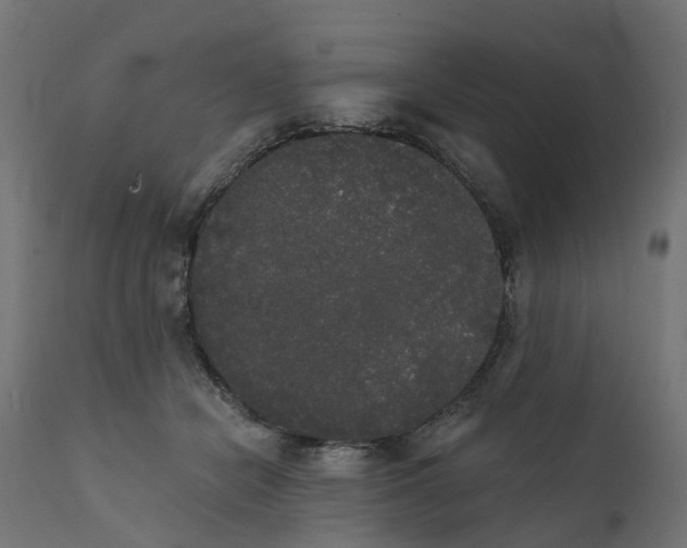 X0000111520462200907281343