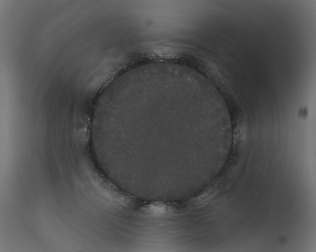 X0000111520464200907281343