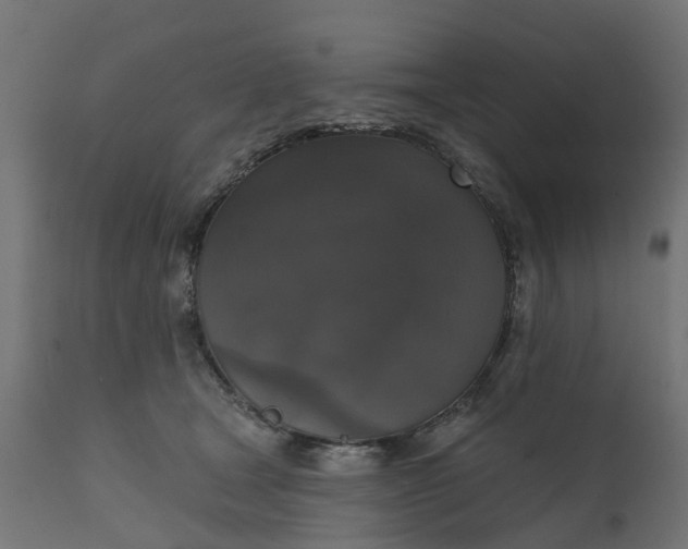 X0000111520465200907281343