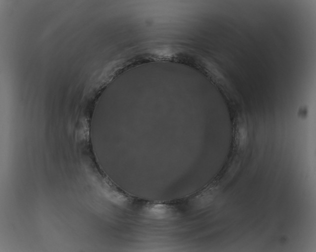 X0000111520467200907281343