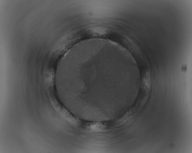 X0000111520468200907281343