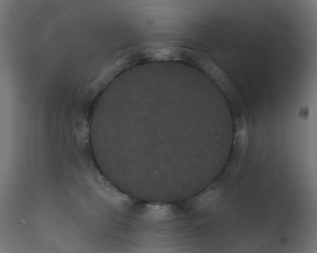 X0000111520469200907281343