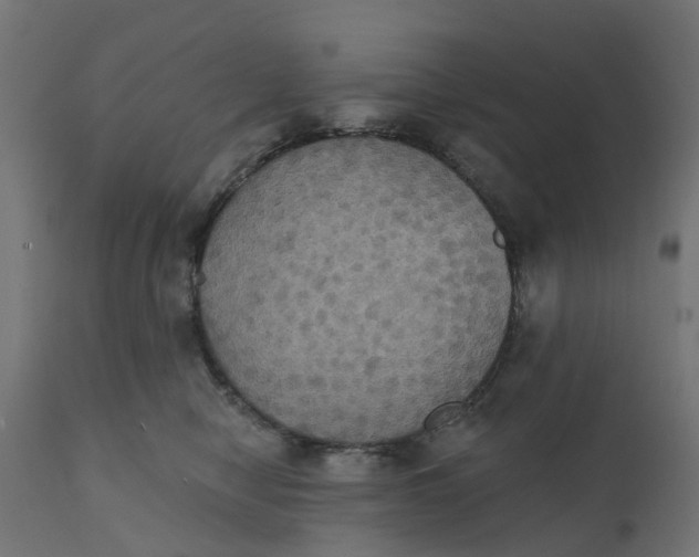 X0000111520470200907281343
