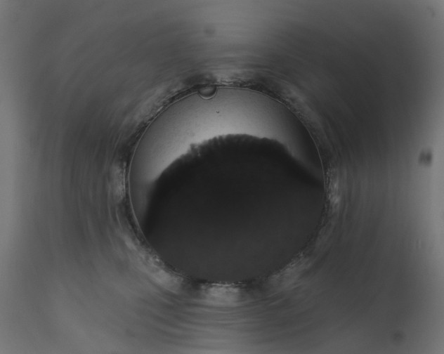 X0000111520471200907281343