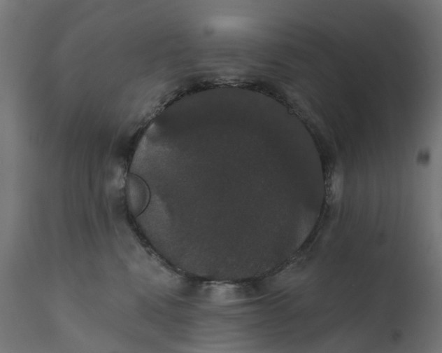 X0000111520472200907281343