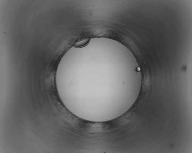 X0000111520473200907281343