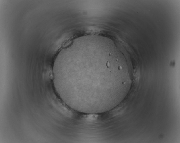 X0000111520474200907281343