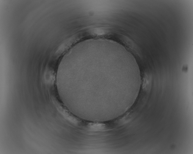 X0000111520476200907281343
