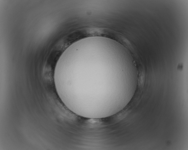 X0000111520477200907281343