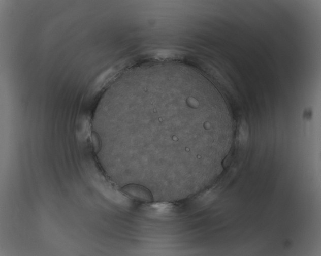 X0000111520478200907281343