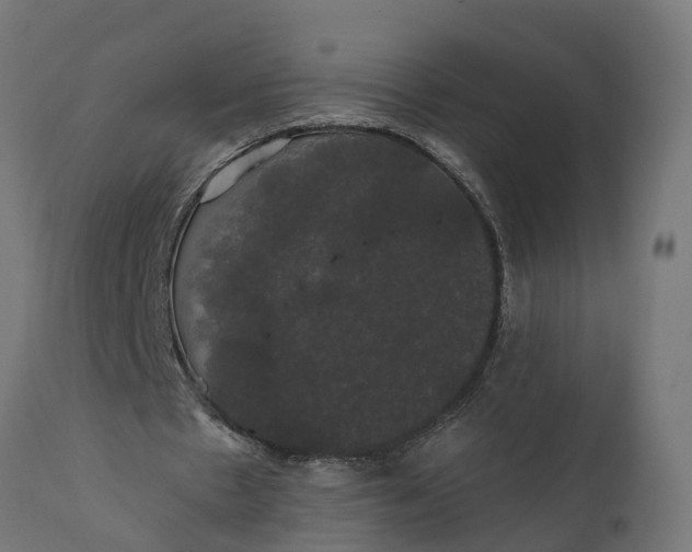 X0000111520481200907281342