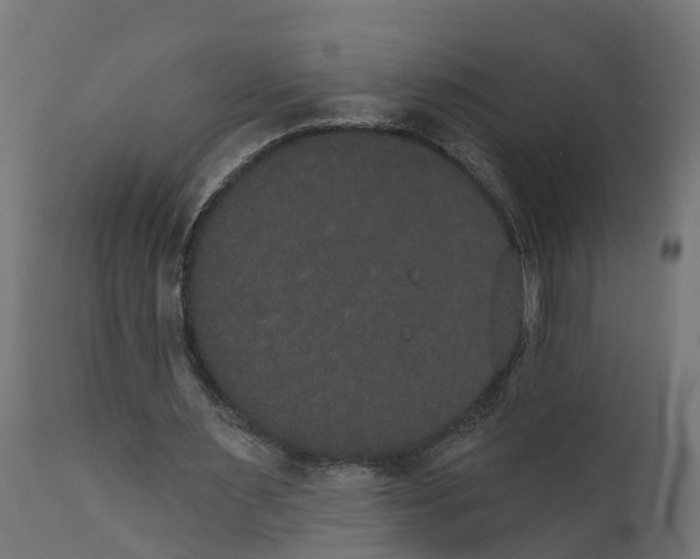 X0000111520483200907281342