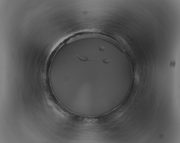 X0000111520484200907281342