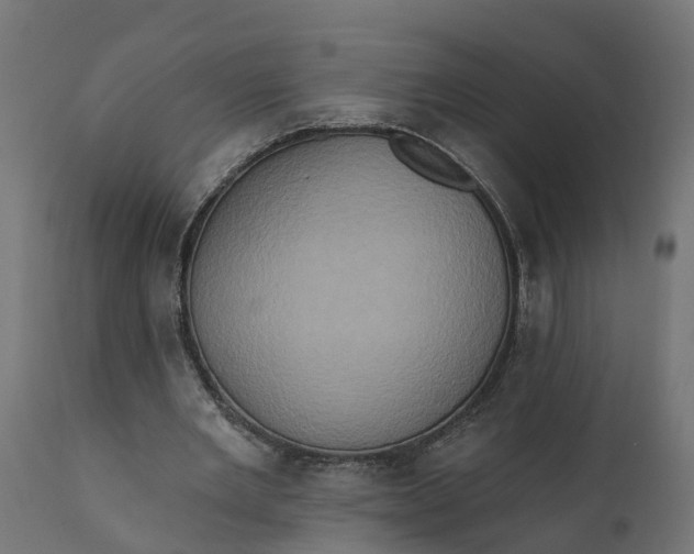 X0000111520485200907281342