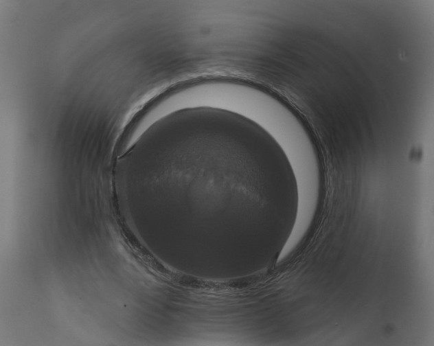 X0000111520488200907281342