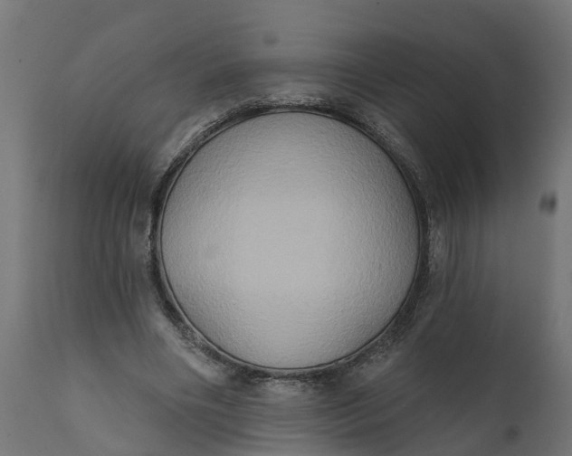 X0000111520490200907281342