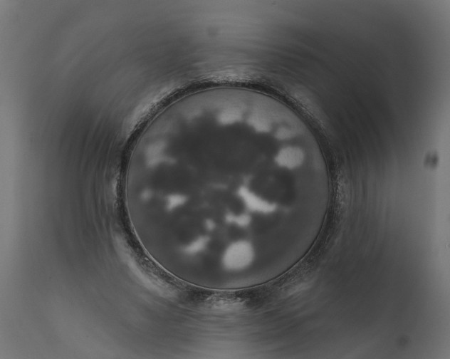 X0000111520491200907281342