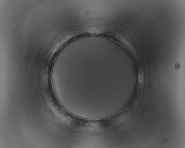 X0000111520492200907281342