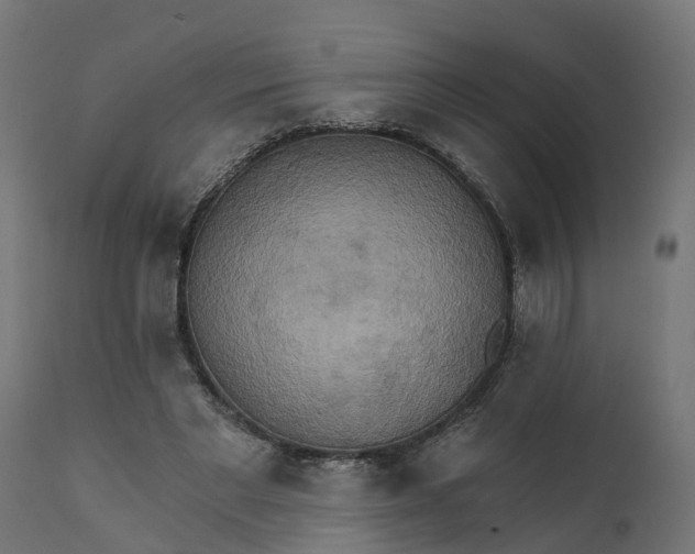 X0000111520493200907281342