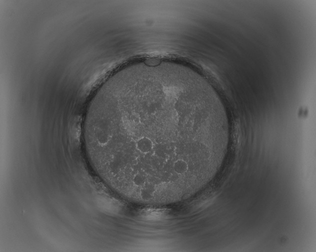 X0000111520495200907281342